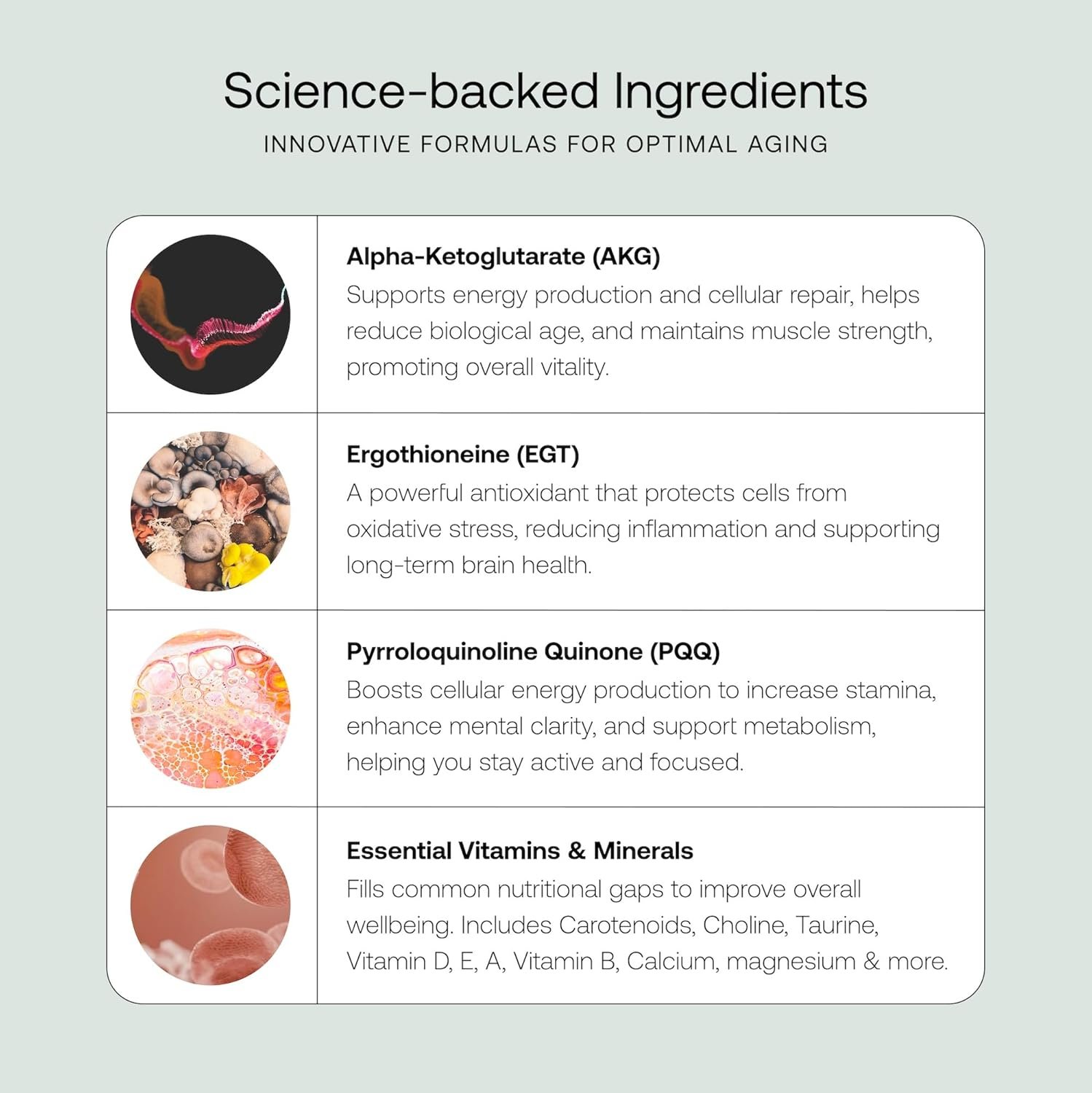 Cel Essential | Suplemento antienvelhecimento para reparação celular e longevidade saudável | Suporta energia, função cognitiva + saúde muscular | 17 vitaminas e minerais | Adequado para todas as idades - Imagem 4