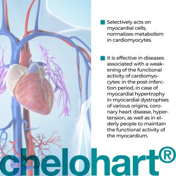 Chelohart em cápsulas - A14 - Peptídeos para Saúde Cardíaca e Recuperação do Miocárdio - Imagem 2