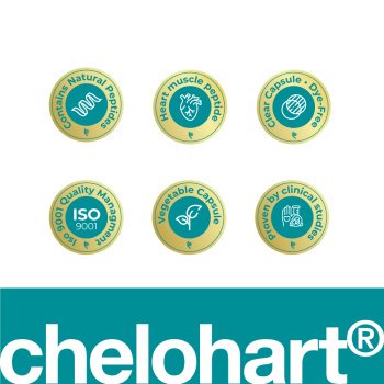 Chelohart em cápsulas - A14 - Peptídeos para Saúde Cardíaca e Recuperação do Miocárdio - Imagem 5