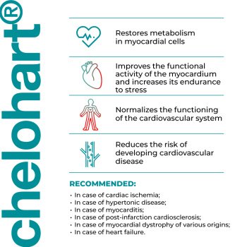Chelohart em cápsulas - A14 - Peptídeos para Saúde Cardíaca e Recuperação do Miocárdio - Imagem 3