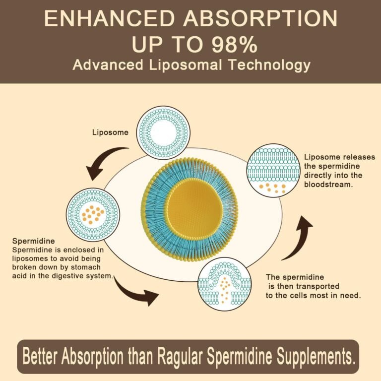 Suplemento de Espermidina Lipossomal 15 MG - 99% de Pureza | Alta Absorção | 1500 MG de Extrato de Gérmen de Trigo Fermentado com Zinco e Tiamina | 60 Cápsulas gels - Imagem 7