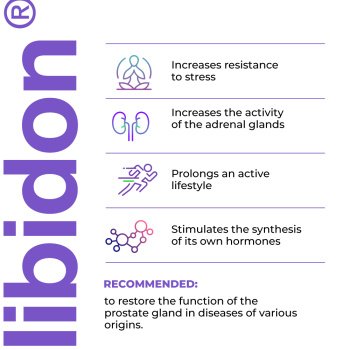 Libidon - A16 - Peptídeo biorregulador da Saúde Prostática e Função Sexual Masculina em cápsulas - Imagem 4