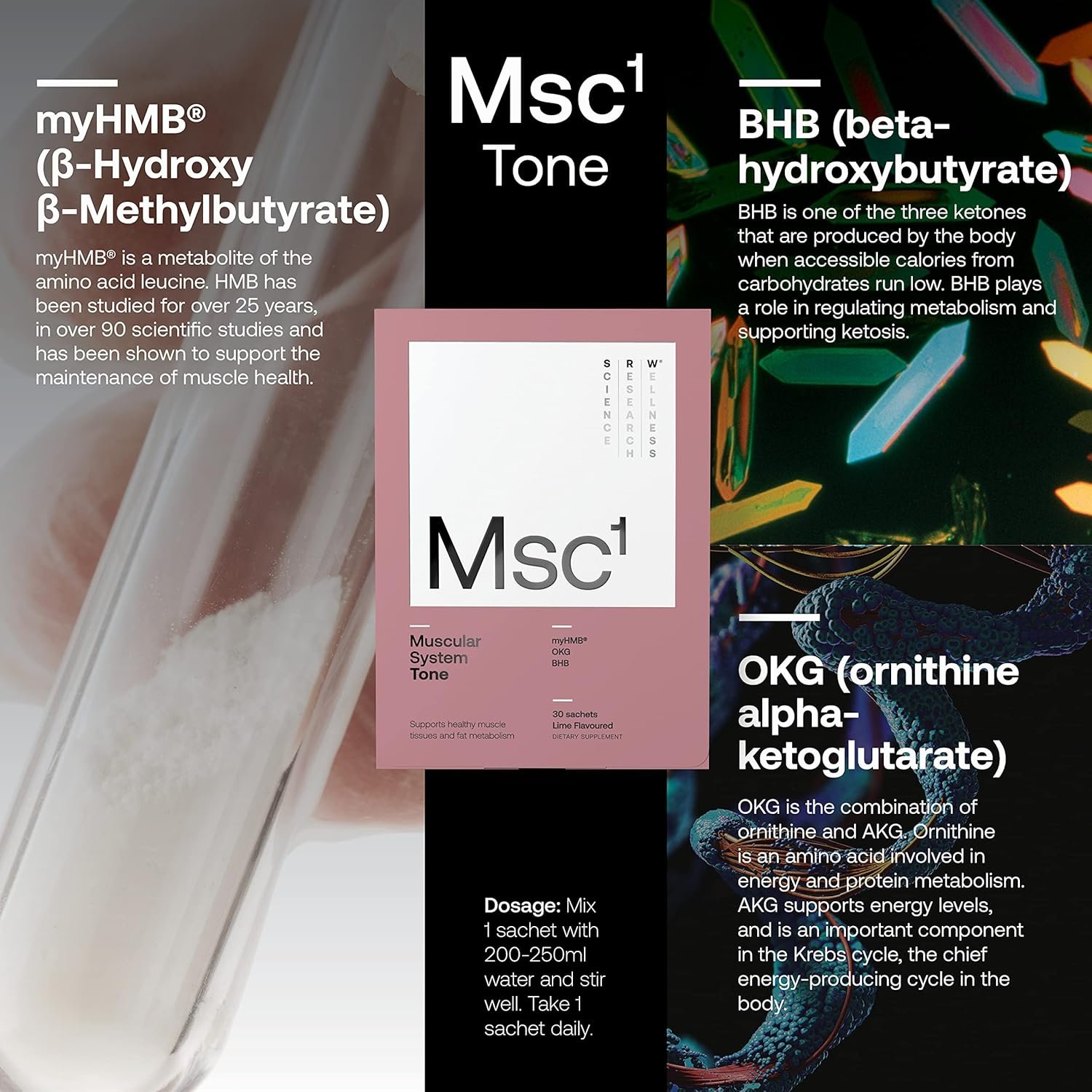MSC¹ Tone, Suporte ao tônus muscular, metabolismo da gordura | com HMB, OKG, BMB | Sem estimulantes, SRW Laboratories, 30 Sachês - Imagem 2