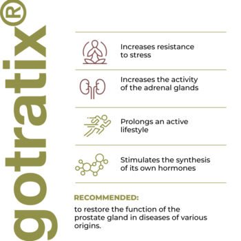 Gotratix - A18 - Peptídeo biorregulador muscular 20 e 60 cápsulas - Imagem 4