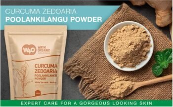 Cúrcuma Branca em pó Poolankilangu, Curcuma Zedoaria, Kachur Root 226 Gramas - Imagem 2